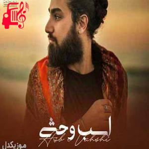 دانلود آهنگ آهنگ دلم رام تو شد اما نگفتی با چه ترفندی از امیر عظیمی + متن ترانه