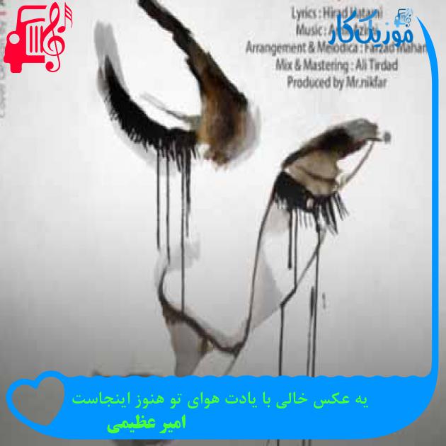آهنگ یه عکس خالی با یادت هوای تو هنوز اینجاست از امیر عظیمی + متن ترانه