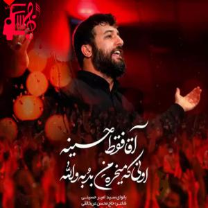 دانلود آهنگ آهنگ آقام فقط حسینه از سید امیر حسینی + متن ترانه