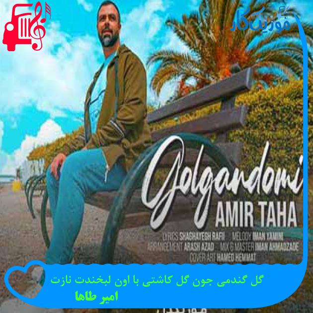 آهنگ گل گندمی جون گل کاشتی با اون لبخندت نازت از امیر طاها + متن ترانه