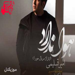 دانلود آهنگ آهنگ من ماندم و شهری که بی او هوا ندارد از امیر تسلیمی + متن ترانه