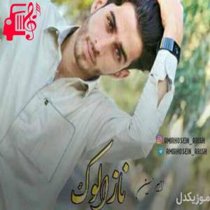 دانلود آهنگ آهنگ نازلوک از امیرحسین اریش