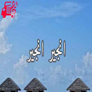 کاور آهنگ انجیر انجیر از گروه بوجالار + متن ترانه اثر گروه بوجالار