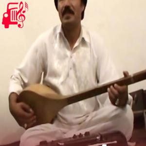 کاور آهنگ بهار ما از سید انور آزاد اثر سید انور آزاد
