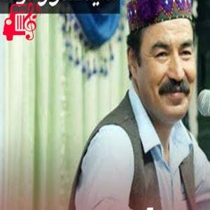 دانلود آهنگ آهنگ جادو کرده امشب از سید انور آزاد