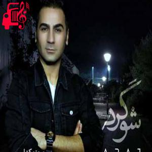 دانلود آهنگ آهنگ شوگرد از آراج علیپور