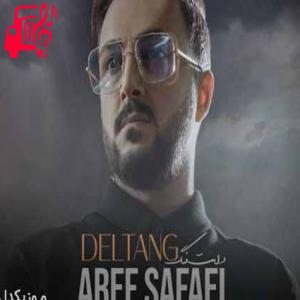 دانلود آهنگ آهنگ دلتنگ از عارف صفایی + متن ترانه