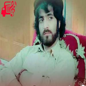 دانلود آهنگ آهنگ دلوک جیگروک از آصف ثوری