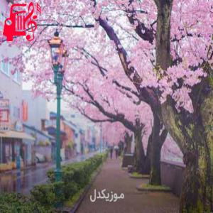 دانلود آهنگ آهنگ صوتی افغانی عاشق نشوی که دل جان میسوزد از موزیک کار + متن ترانه