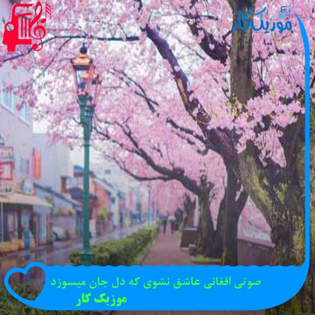 آهنگ صوتی افغانی عاشق نشوی که دل جان میسوزد از موزیک کار + متن ترانه