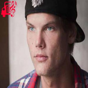 دانلود آهنگ آهنگ the nights از Avicii + متن ترانه