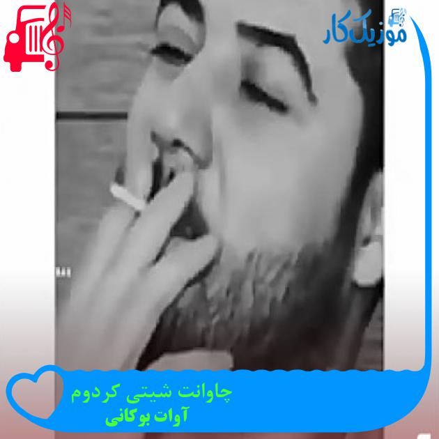 آهنگ چاوانت شیتی کردوم از آوات بوکانی + متن ترانه آهنگ چاوانت شیتی کردوم از آوات بوکانی + متن ترانه