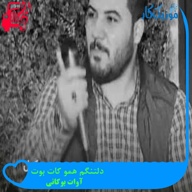 آهنگ دلتنگم همو کات بوت از آوات بوکانی + متن ترانه