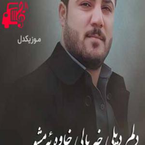 دانلود آهنگ آهنگ دلم دیلی خه یالی خاوه ئه مشو از آوات بوکانی