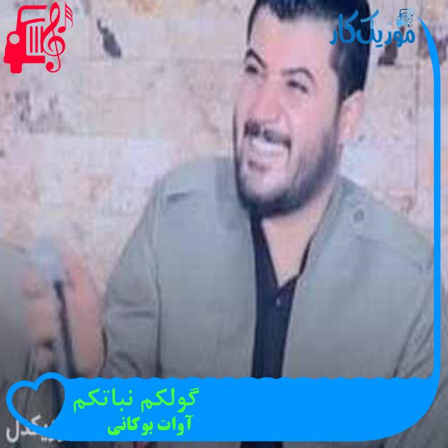 آهنگ گولکم نباتکم از آوات بوکانی + متن ترانه