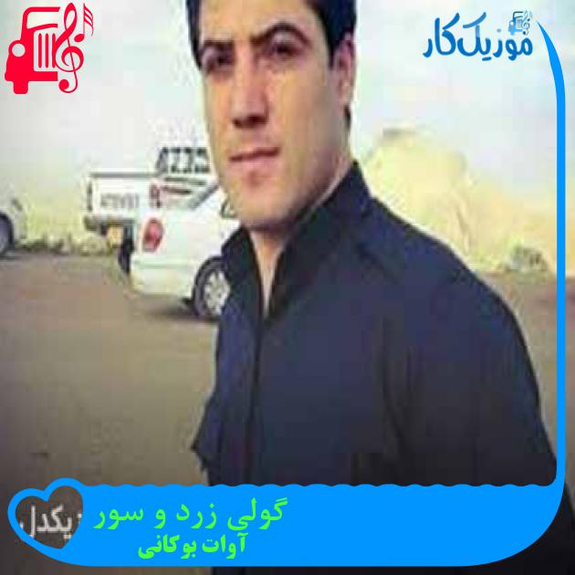 آهنگ گولی زرد و سور از آوات بوکانی + متن ترانه آهنگ گولی زرد و سور از آوات بوکانی + متن ترانه
