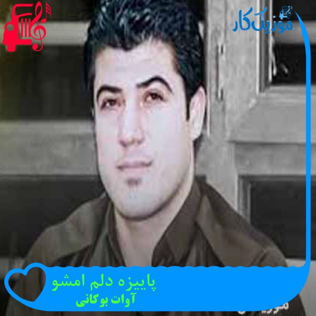 آهنگ پاییزه دلم امشو از آوات بوکانی + متن ترانه آهنگ پاییزه دلم امشو از آوات بوکانی + متن ترانه