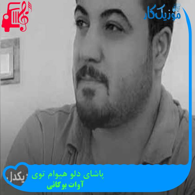 آهنگ پاشای دلو هیوام توی از آوات بوکانی + متن ترانه