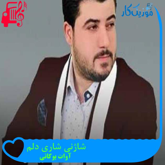 آهنگ شاژنی شاری دلم از آوات بوکانی + متن ترانه