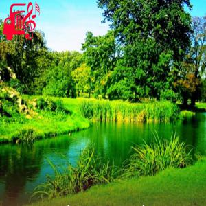 دانلود آهنگ آهنگ مست غمگین ایرانی درگیر دلم از awaze new