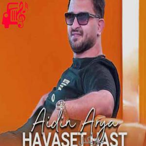 کاور آهنگ حواست هست از آیدین آریا اثر آیدین آریا