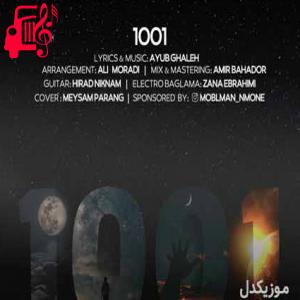 دانلود آهنگ آهنگ 1001 از ایوب قلعه + متن ترانه