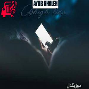 دانلود آهنگ آهنگ عاشق بیده از ایوب قلعه + متن ترانه