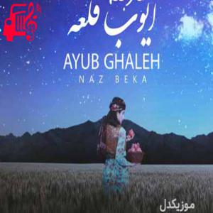 دانلود آهنگ آهنگ ناز بکه از ایوب قلعه + متن ترانه