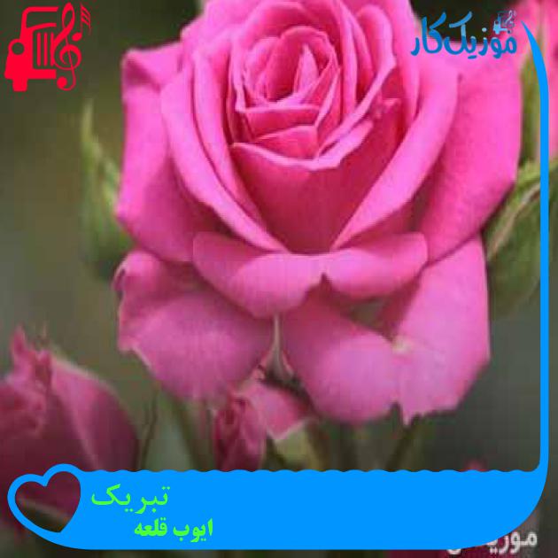 آهنگ تبریک از ایوب قلعه آهنگ تبریک از ایوب قلعه