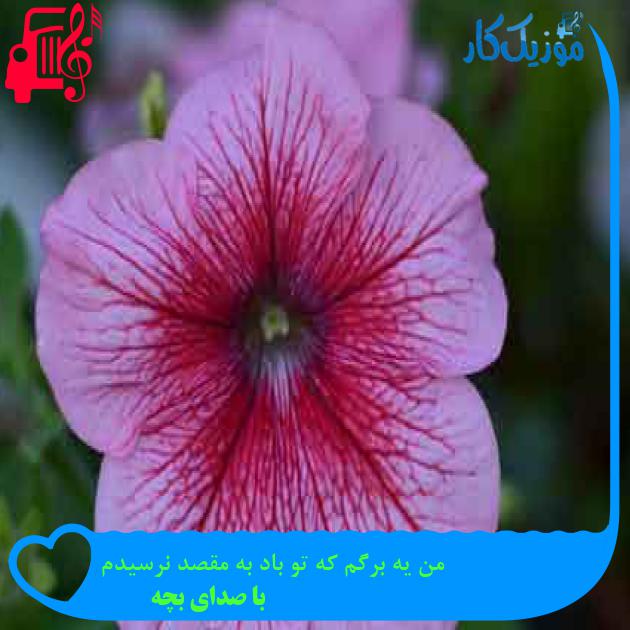 آهنگ من یه برگم که تو باد به مقصد نرسیدم از با صدای بچه + متن ترانه آهنگ من یه برگم که تو باد به مقصد نرسیدم از با صدای بچه + متن ترانه