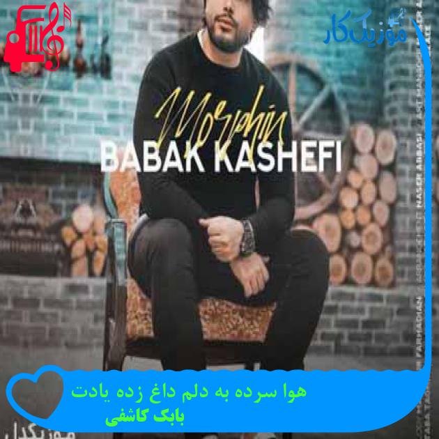 آهنگ هوا سرده به دلم داغ زده یادت از بابک کاشفی + متن ترانه