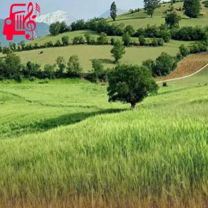دانلود آهنگ آهنگ اگه میار نباشی خل بومه ریمیکس با صدای بچه از موزیک کار