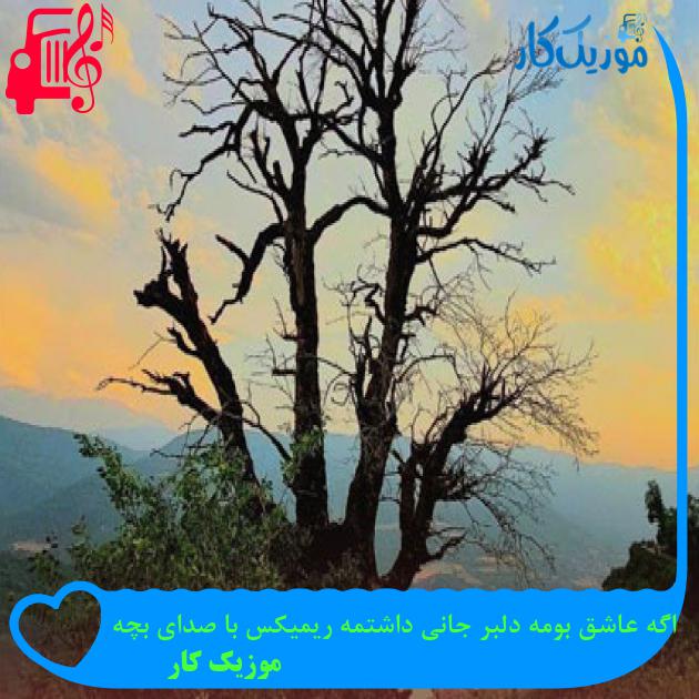 آهنگ اگه عاشق بومه دلبر جانی داشتمه ریمیکس با صدای بچه از موزیک کار