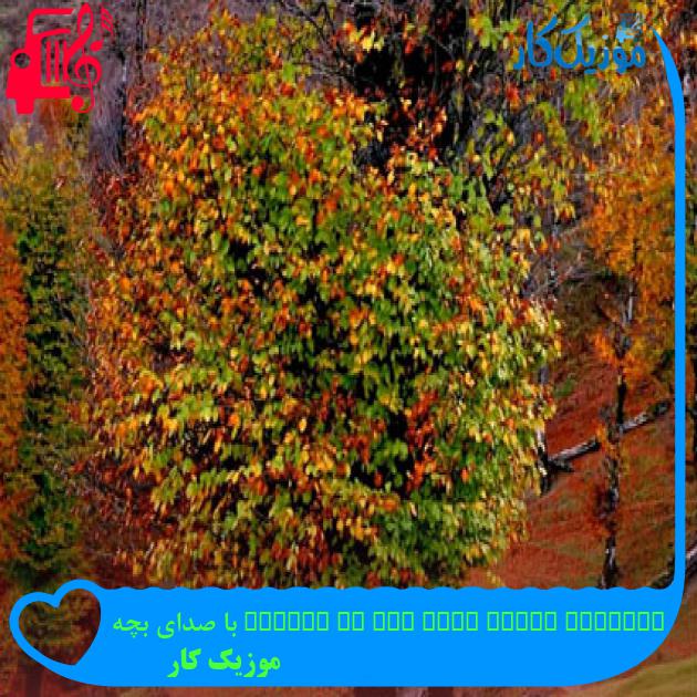 آهنگ geceler haram oldu bak bu aralar با صدای بچه از موزیک کار آهنگ geceler haram oldu bak bu aralar با صدای بچه از موزیک کار