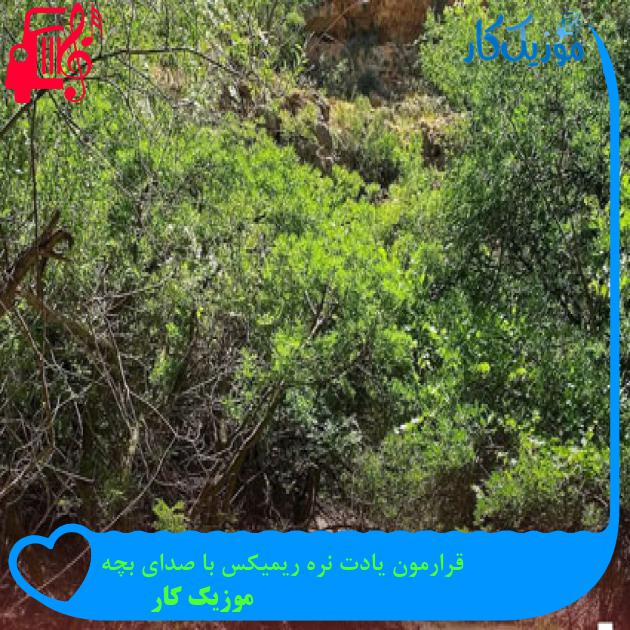 آهنگ قرارمون یادت نره ریمیکس با صدای بچه از موزیک کار + متن ترانه آهنگ قرارمون یادت نره ریمیکس با صدای بچه از موزیک کار + متن ترانه