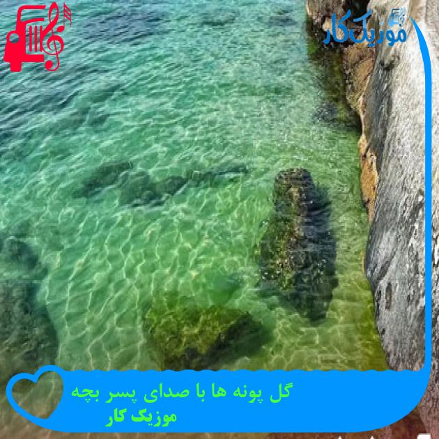 آهنگ گل پونه ها با صدای پسر بچه از موزیک کار آهنگ گل پونه ها با صدای پسر بچه از موزیک کار