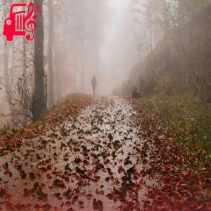 دانلود آهنگ آهنگ خودت میخوای بری خاطره شی با صدای بچه از موزیک کار