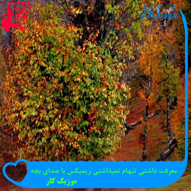 آهنگ معرفت داشتی تنهام نمیذاشتی ریمیکس با صدای بچه از موزیک کار آهنگ معرفت داشتی تنهام نمیذاشتی ریمیکس با صدای بچه از موزیک کار