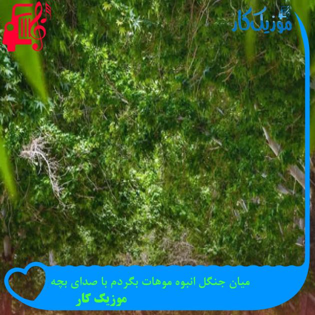 آهنگ میان جنگل انبوه موهات بگردم با صدای بچه از موزیک کار آهنگ میان جنگل انبوه موهات بگردم با صدای بچه از موزیک کار