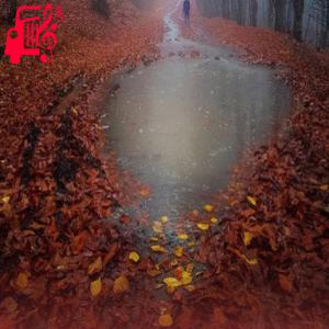 دانلود آهنگ آهنگ اکسیژنه ریمیکس با صدای بچه از موزیک کار