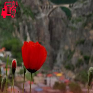 کاور آهنگ پسری دارمه که به دنیا ندمه ریمیکس با صدای بچه از موزیک کار اثر موزیک کار