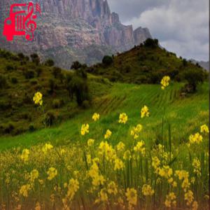 دانلود آهنگ آهنگ دفترچه پست کردم برم سربازی ریمیکس با صدای بچه از موزیک کار