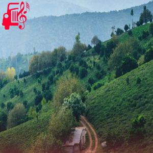 کاور آهنگ ته سر یک خال موره به دنیا ندمه با صدای بچه از موزیک کار + متن ترانه اثر موزیک کار
