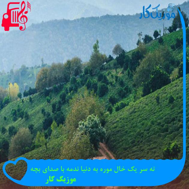 آهنگ ته سر یک خال موره به دنیا ندمه با صدای بچه از موزیک کار + متن ترانه آهنگ ته سر یک خال موره به دنیا ندمه با صدای بچه از موزیک کار + متن ترانه