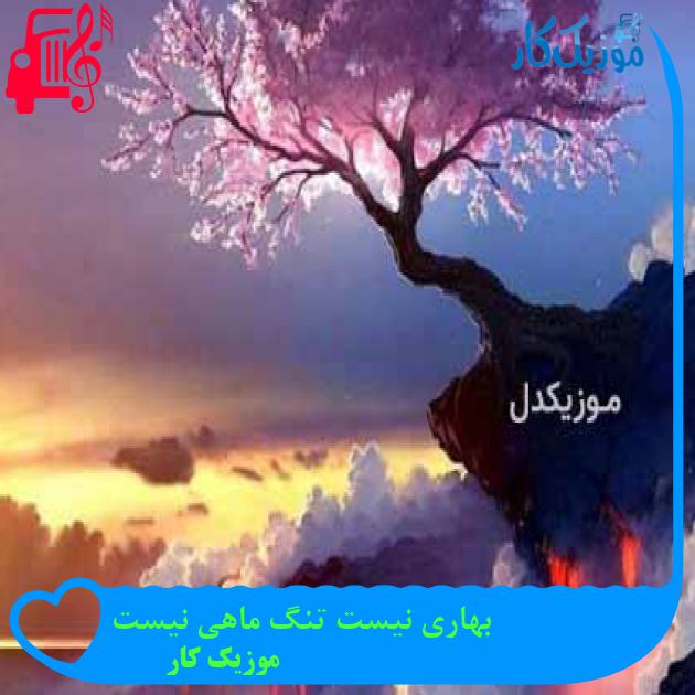 آهنگ بهاری نیست تنگ ماهی نیست از موزیک کار + متن ترانه آهنگ بهاری نیست تنگ ماهی نیست از موزیک کار + متن ترانه