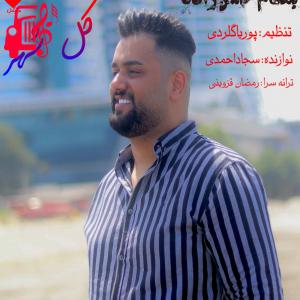 دانلود آهنگ آهنگ کل شهر همه خبردار از بهنام حسن زاده