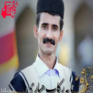 کاور آهنگ پا به رکاب هیاری از بهروز زمزم اثر بهروز زمزم