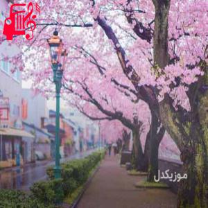 دانلود آهنگ آهنگ چاورش ورفش ریمیکس تند با صدای بچه از موزیک کار + متن ترانه