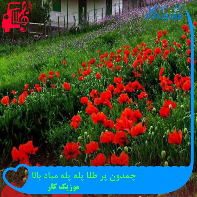 آهنگ چمدون پر طلا پله پله میاد بالا از موزیک کار + متن ترانه آهنگ چمدون پر طلا پله پله میاد بالا از موزیک کار + متن ترانه