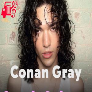 دانلود آهنگ آهنگ Crush Culture از Conan Gray